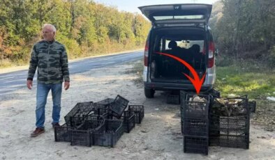 Saatlerce gezip 3 adet bulabiliyorlar! Kiloyla değil gramla satılıyor