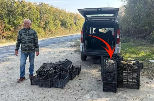 Saatlerce gezip 3 adet bulabiliyorlar! Kiloyla değil gramla satılıyor