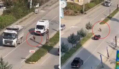 Sahibinin elinden kaçtı, trafiği birbirine kattı