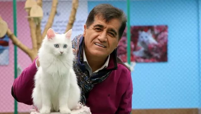 Sanatçı Aydın Aydın, Nesli Tükenmekte Olan Van Kedisiyle Düet Yaptı