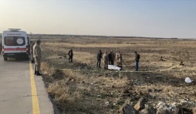 Yoldan geçen vatandaşlar korkunç manzarayla karşılaştı! Hemen 112’ye haber verdiler