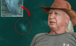 Sapanca Gölü fay hattı boyunca fokur fokur kanıyor! Prof. Dr. Üşümezsoy “Asıl tehlike” diyerek uyarmıştı