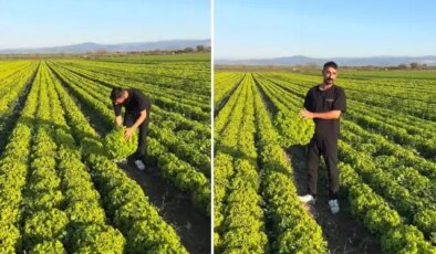 “Satarsam şerefsizim” diyen İzmirli çiftçinin isyanı pahalıya patladı