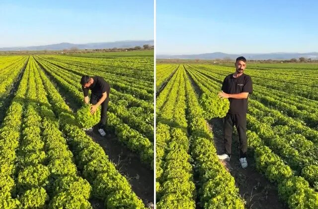 “Satarsam şerefsizim” diyen İzmirli çiftçinin isyanı pahalıya patladı