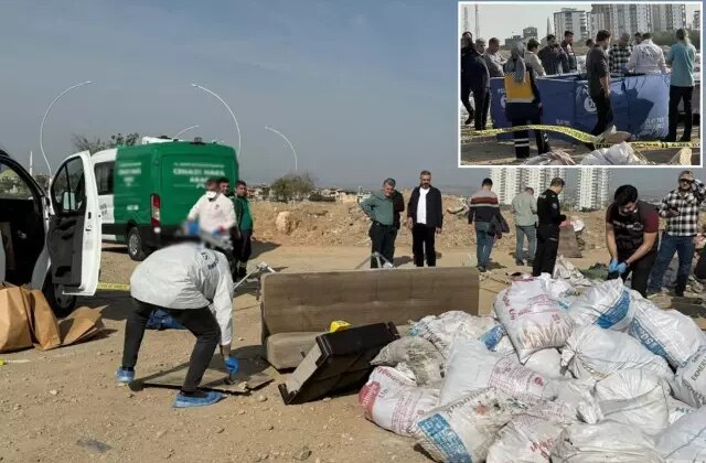 Şehri ayağa kaldıran cinayet! Öldürüp tuzlayıp halıya sarıp çekyatla atmışlar