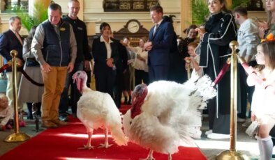 Trump’tan Şükran Günü geleneği: 2 hindiyi affetti