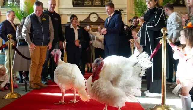 Trump’tan Şükran Günü geleneği: 2 hindiyi affetti