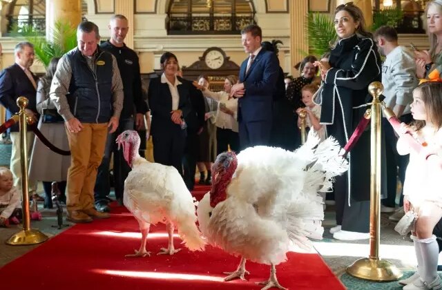 Trump’tan Şükran Günü geleneği: 2 hindiyi affetti