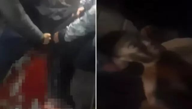 İstanbul’un göbeğinde dehşet! Yüksek sesli müzik kavgası kanlı bitti