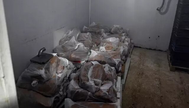 Yakalanmasa vatandaşlara yedireceklerdi! 60 tondan fazla ele geçirildi