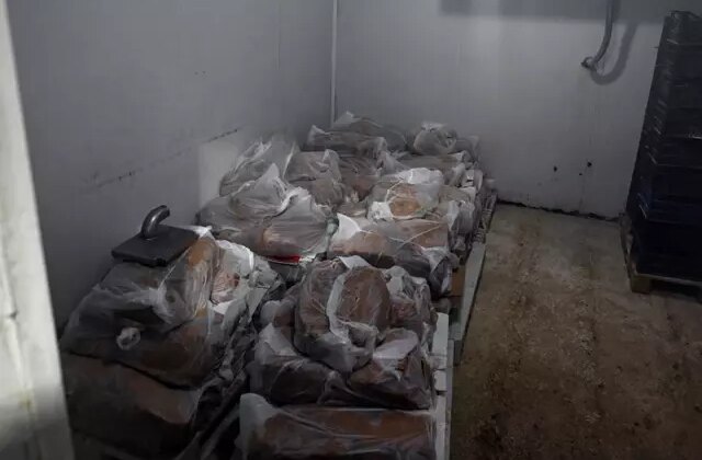 Yakalanmasa vatandaşlara yedireceklerdi! 60 tondan fazla ele geçirildi