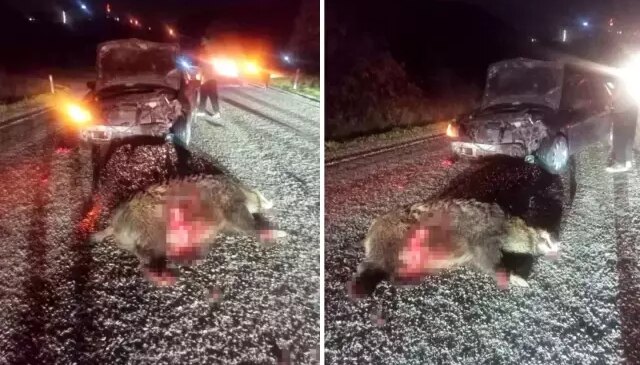 Yola aniden çıktı, kazaya neden oldu