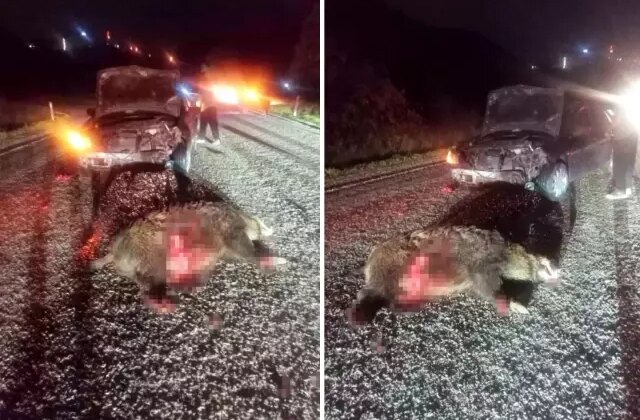 Yola aniden çıktı, kazaya neden oldu