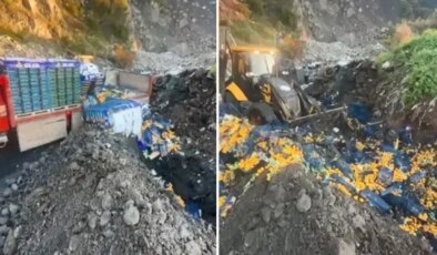 Sınır kapısında zirai ilaç kalıntısı bulunan 6 ton mandalina imha edildi