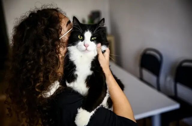 Bu tarihi kaçıran evcil hayvan sahipleri yandı! Katbekat fazlasını ödeyecekler