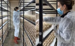 100 bin lira maaşlı işi bırakıp sektör değiştirdi! Kilosunu 700 bin liraya satıyor