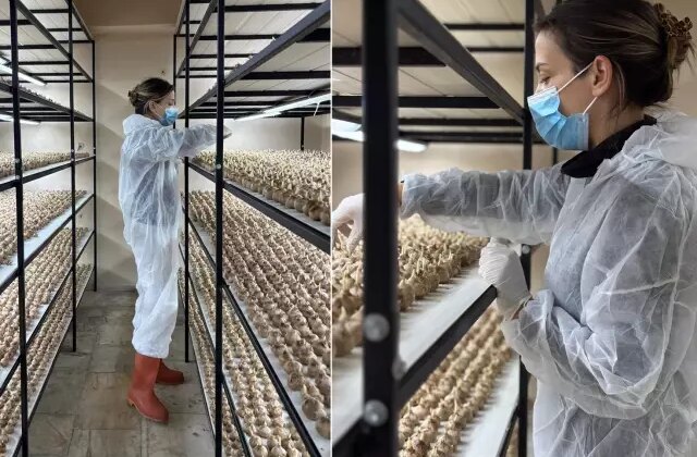 100 bin lira maaşlı işi bırakıp sektör değiştirdi! Kilosunu 700 bin liraya satıyor