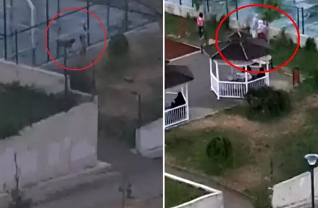 2 kardeşe saldıran pitbulun sahibi tutuklandı! Köpeği tasmasız gezdirdiği anlar kamerada