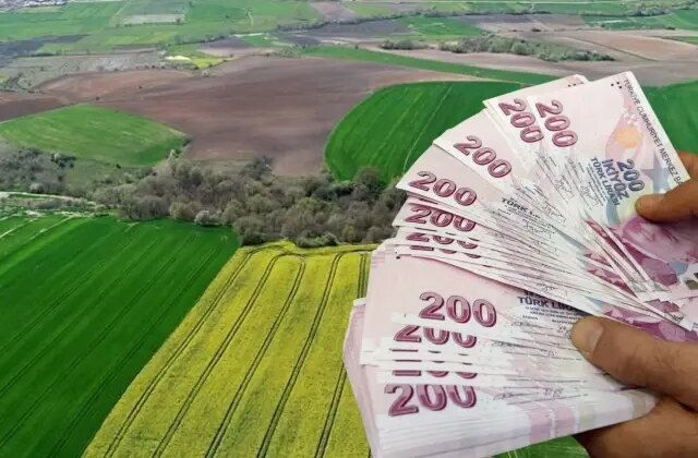 “2B arsa” vaadiyle 40 milyonluk vurgun