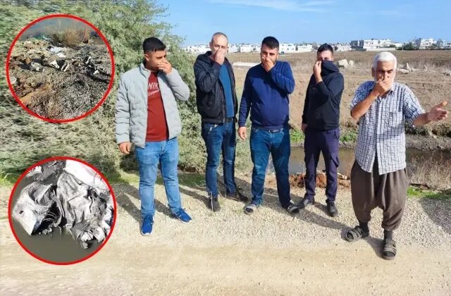 Koca bir ilçe kokudan yerinde duramıyor! Hepsini vatandaşa yedirmişler