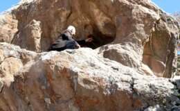 Anadolu tarihi değiştirecek keşif! Dağda gezerken binlerce yıllık hazine buldu