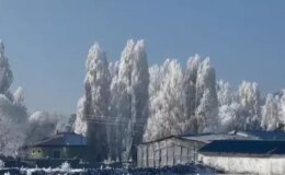 Türkiye’de en soğuk yeri! İlçe buzdan şehre döndü