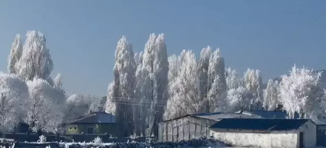 Türkiye’de en soğuk yeri! İlçe buzdan şehre döndü