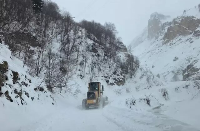 Artvin’de çığ düştü: 3 çoban çığ altında kaldı