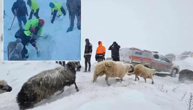 Artvin’deki çığ felaketinden acı haber geldi