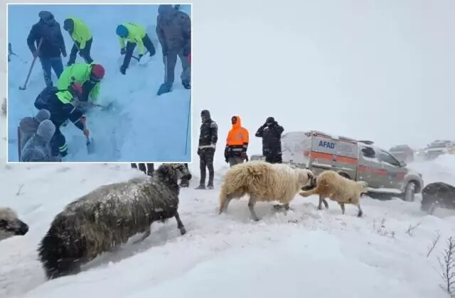 Artvin’deki çığ felaketinden acı haber geldi