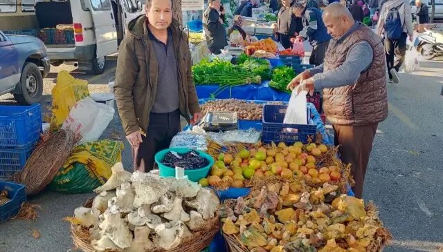 Bin 800 rakımlı yayladan toplayıp getiriyor, gören almadan geçmiyor