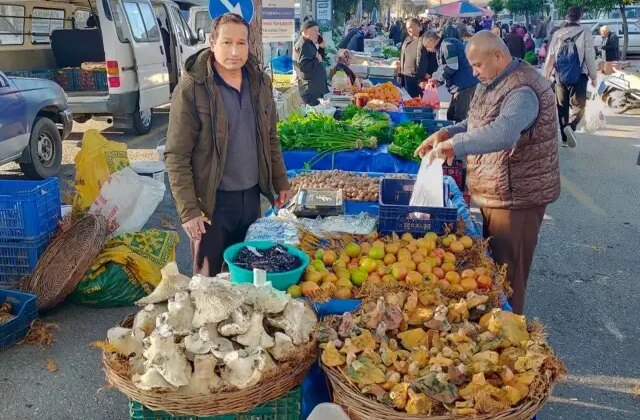 Bin 800 rakımlı yayladan toplayıp getiriyor, gören almadan geçmiyor