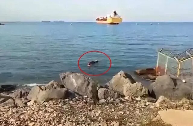 Balıkçı ağına takıldı, gören şok oldu! Gemiden atlayıp kaçmış