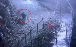 Bir ilin kabusu oldu! Görüntüyü izleyen avcılar harekete geçti