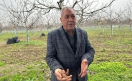 Bir köyü zengin eden ürün! Doktorlar, iş insanları buraya akın ediyor