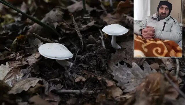 Pazardan aldığı mantardan zehirlenen adamdan uyarı