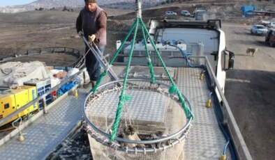 Bozkırın ortasında yetişti, Rusya ve Japonya yolcusu oldu