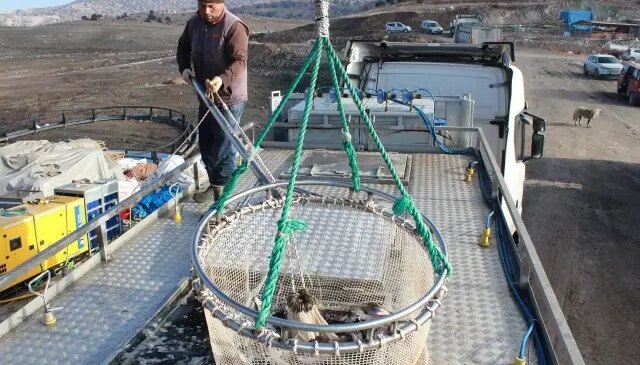 Bozkırın ortasında yetişti, Rusya ve Japonya yolcusu oldu