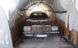 Bu serada ne sebze ne de meyve değil klasik araba yetişiyor