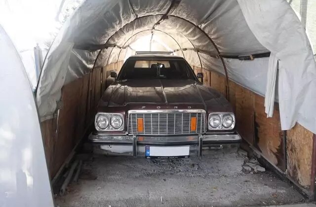 Bu serada ne sebze ne de meyve değil klasik araba yetişiyor