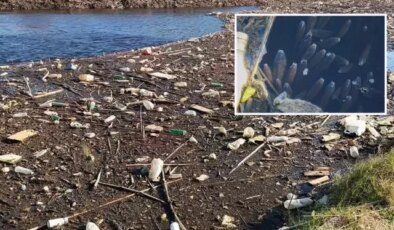 Büyük Menderes Nehri alarm veriyor, simsiyah oldu