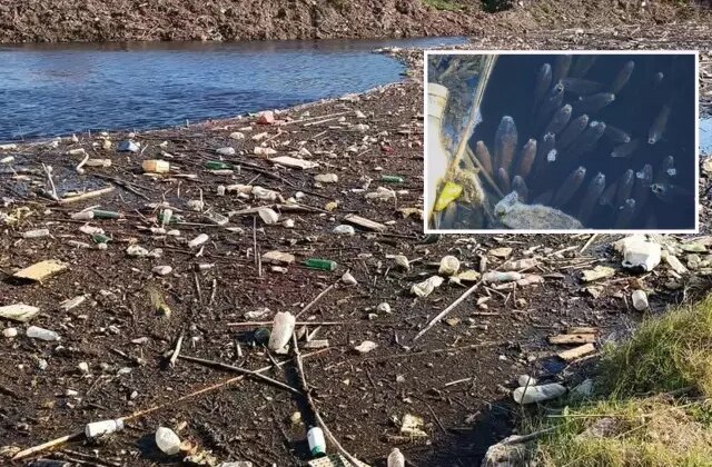 Büyük Menderes Nehri alarm veriyor, simsiyah oldu