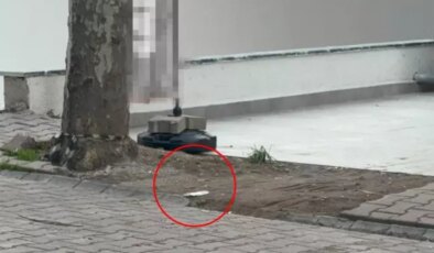 Çöpe atmak için yerden aldığı kargo poşetinin içinden 60 bin dolar çıktı