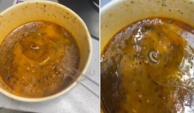 Çorbanın içinden çıkanlar mide bulandırdı
