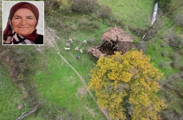 Defne yaprağı toplamak için ormana giden Zehra Teyze sırra kadem bastı