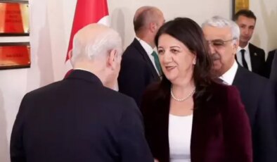 DEM Parti İmralı heyetinden Bahçeli görüşmesi sonrası açıklama: Süreçte 2. aşamaya geçildi