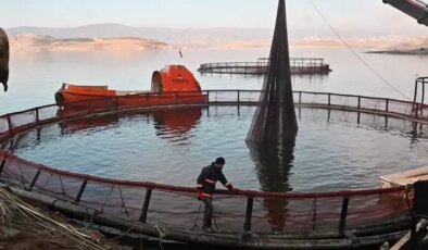 Denizi olmayan ilde üretilip Rusya ve Japonya’ya satıyor