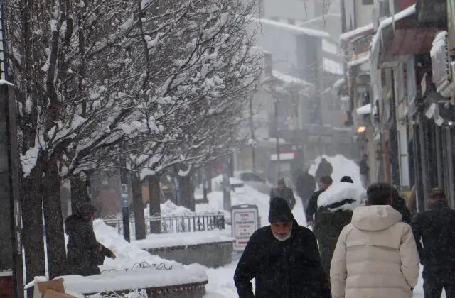 Doğu buz kesti; 2 ilçe eksi 25 dereceyi gördü