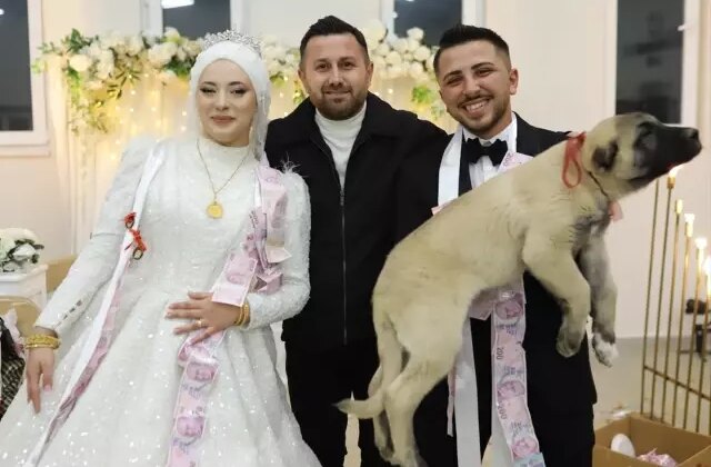 Düğünde arkadaşına takı yerine hediye ettiği şey herkesi şaşkına çevirdi