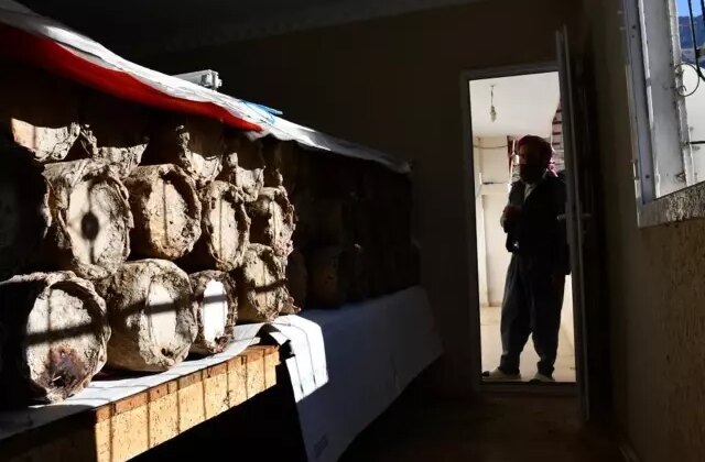 Evinin en güzel odasını tahsis etti! Kilosunu 10 bin TL’den satıyor